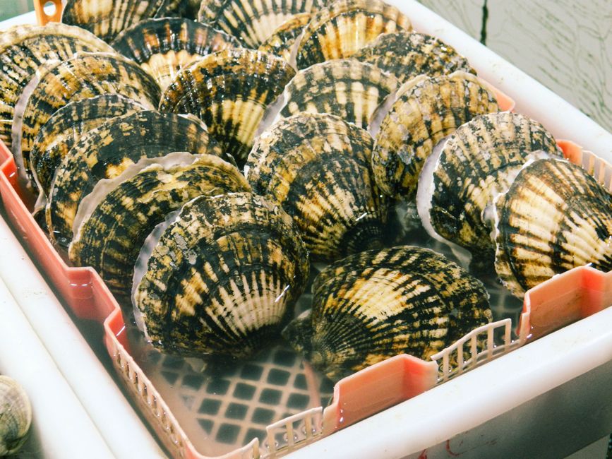 Kapesante — svježa riba, Ribarnica Val Zadar